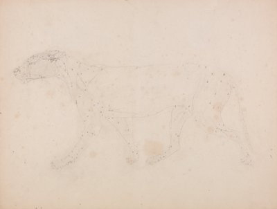 Vergleichende anatomische Darstellung der Struktur des menschlichen Körpers mit der eines Tigers und einer Kuh von George Stubbs